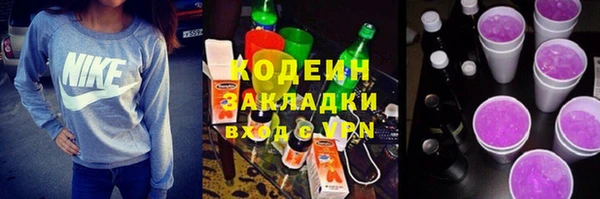 прущий лед Бородино