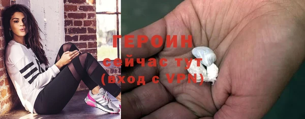 прущий лед Бородино