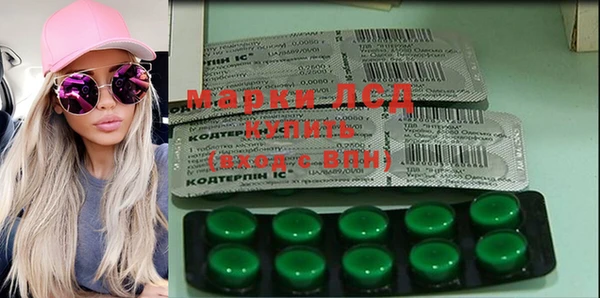 прущий лед Бородино